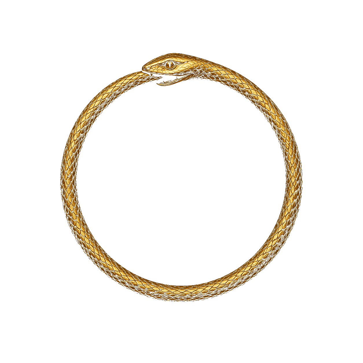 Ouroboros — símbolo de The Glow Decode